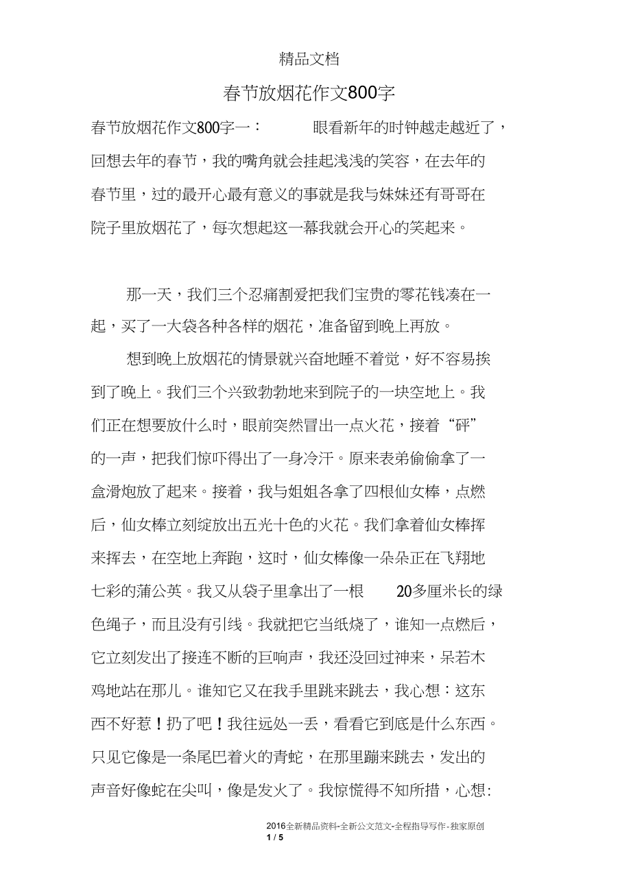 春节放烟花作文800字_第1页