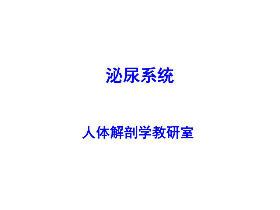 《泌尿系解剖》PPT課件.ppt_第1頁(yè)