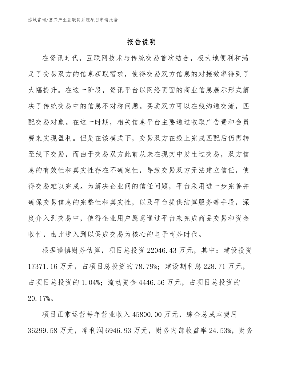 嘉兴产业互联网系统项目申请报告_范文_第1页