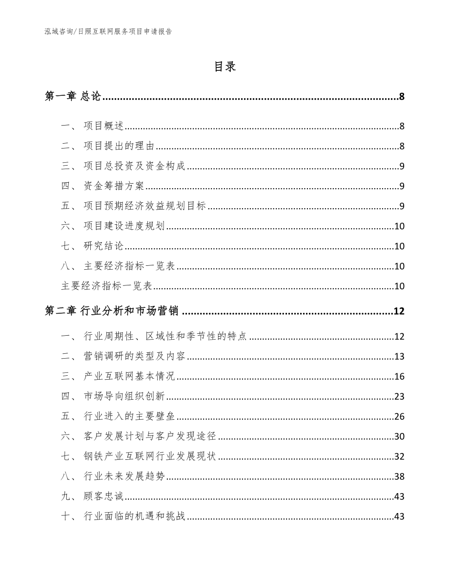 日照互联网服务项目申请报告_第1页