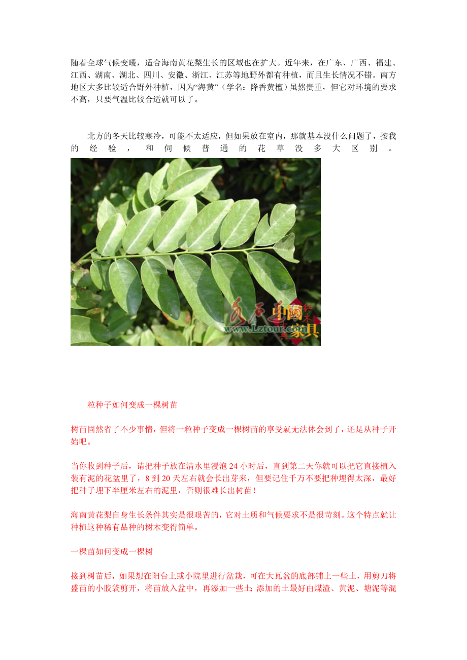 树木分布种植地情况和方法_第1页