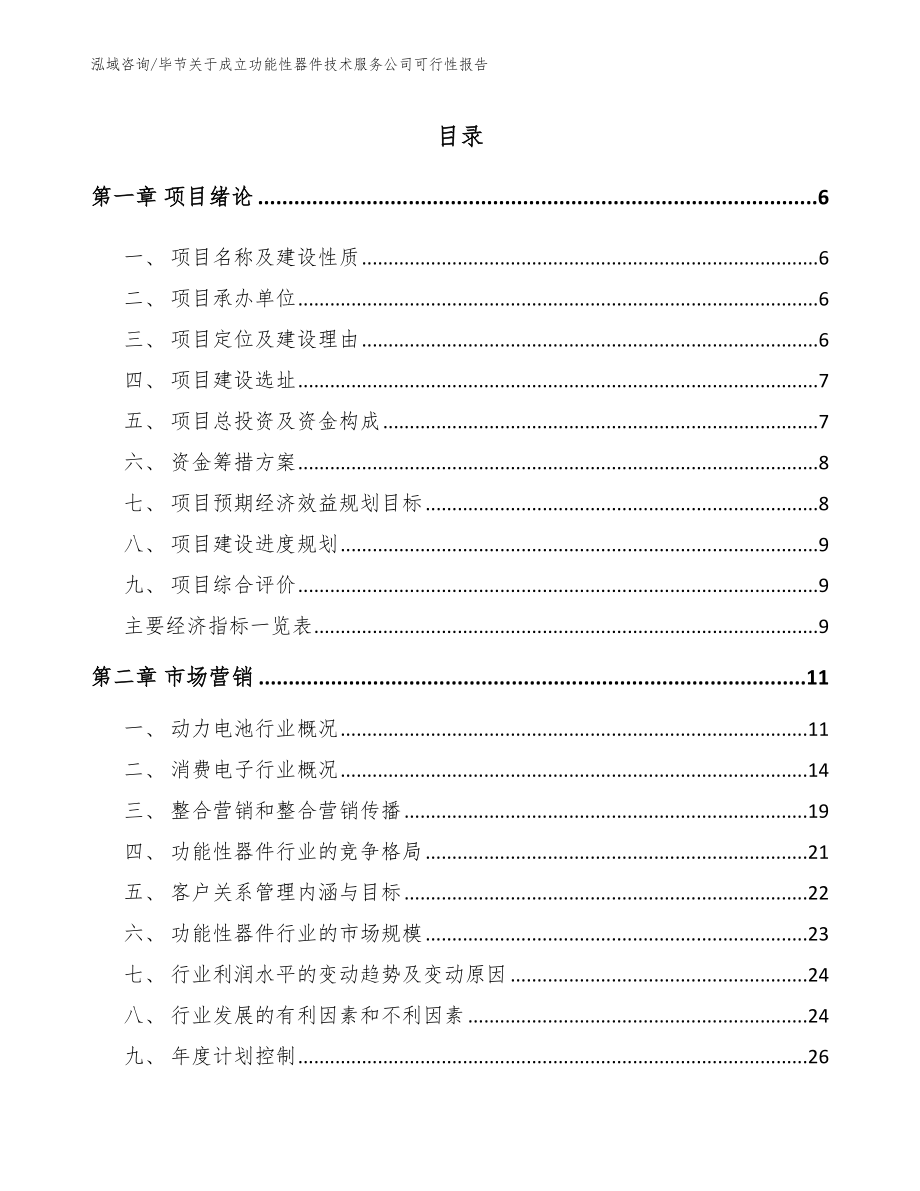 毕节关于成立功能性器件技术服务公司可行性报告（范文）_第1页