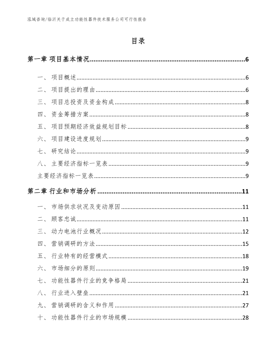 临沂关于成立功能性器件技术服务公司可行性报告_第1页