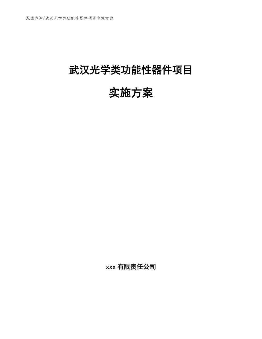 武汉光学类功能性器件项目实施方案（模板）_第1页