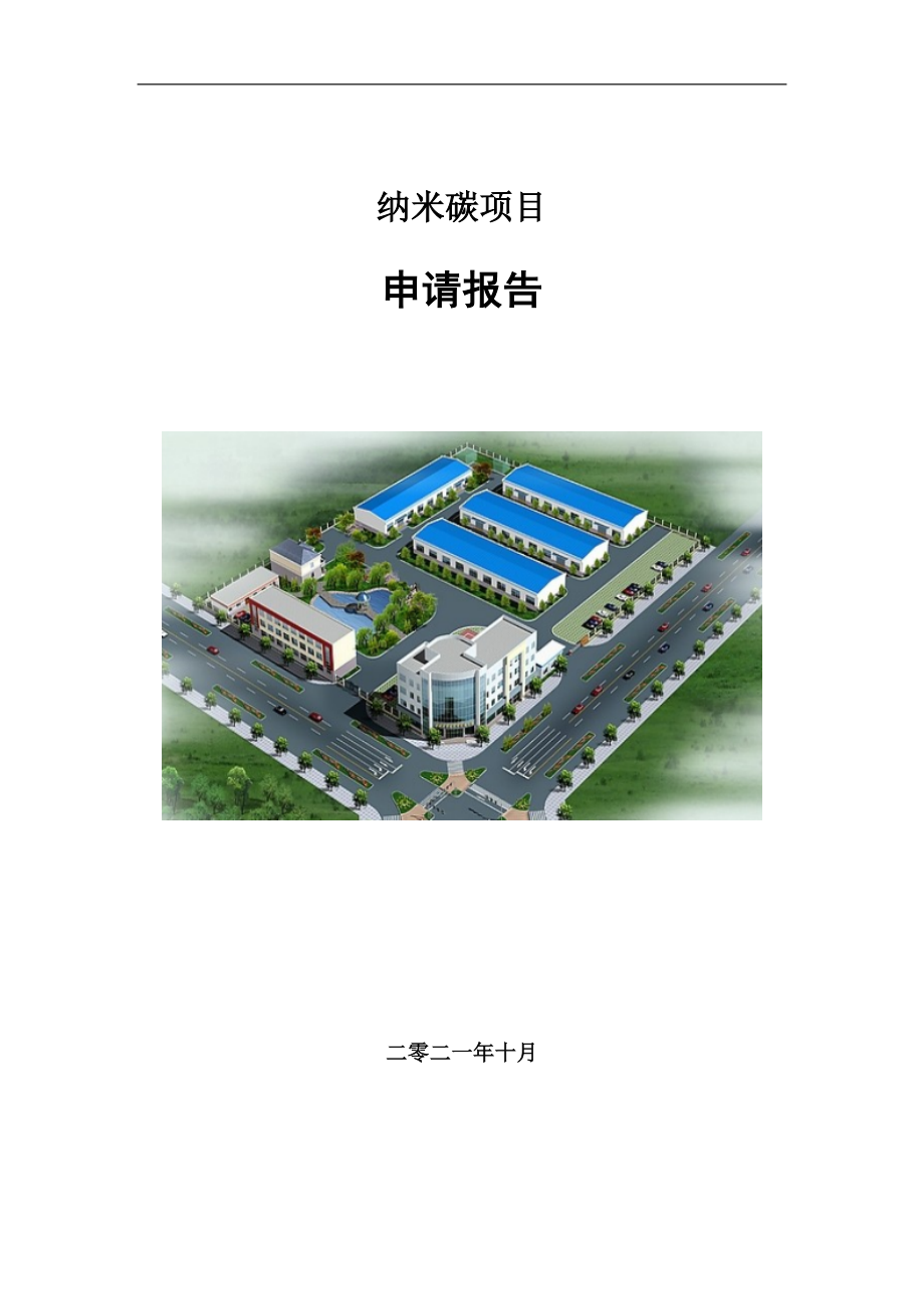 纳米碳项目申请报告写作参考模板_第1页