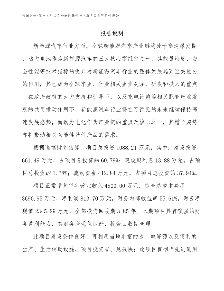 丽水关于成立功能性器件技术服务公司可行性报告_第1页