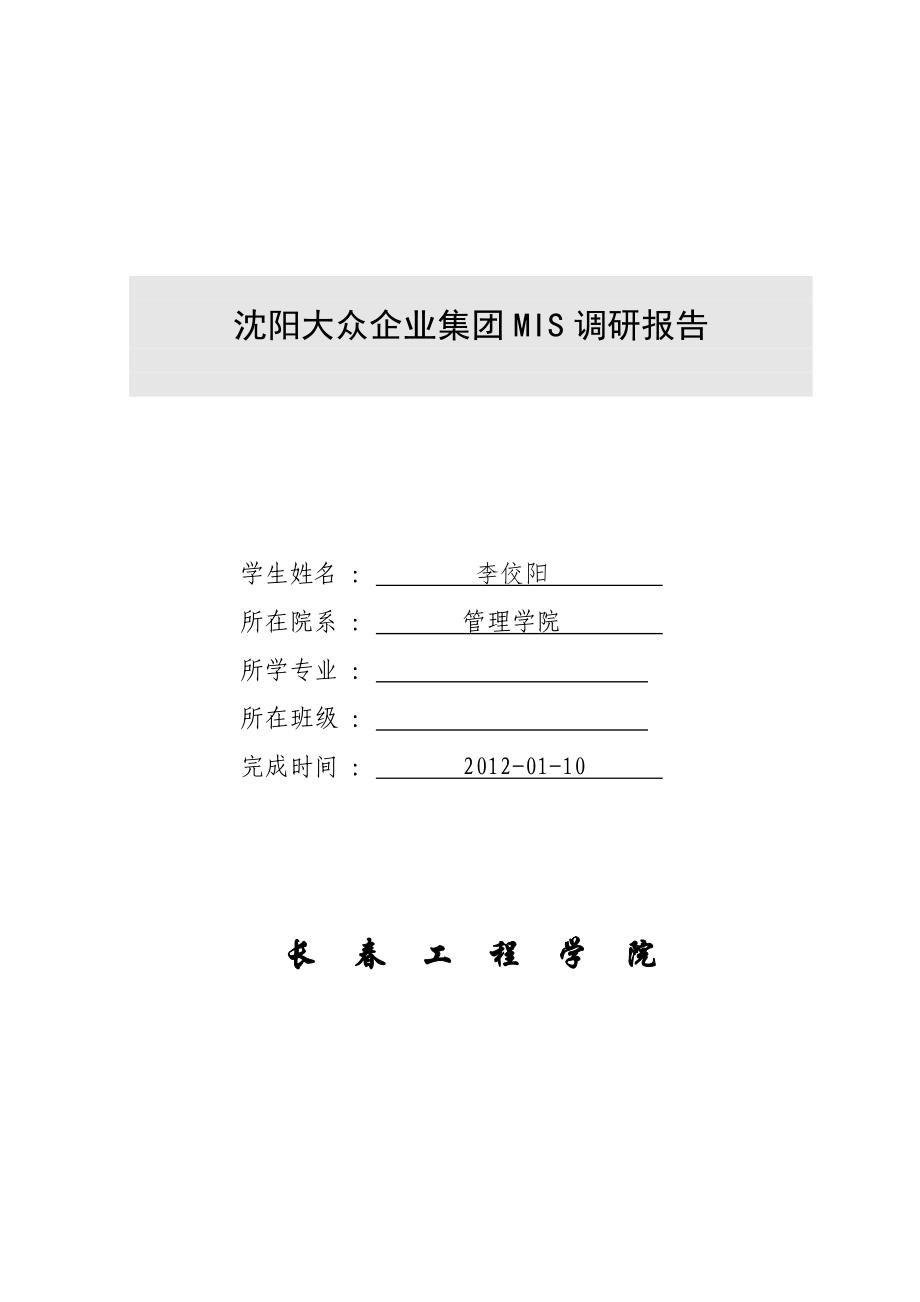 沈阳大众企业集团MIS调研报告_第1页