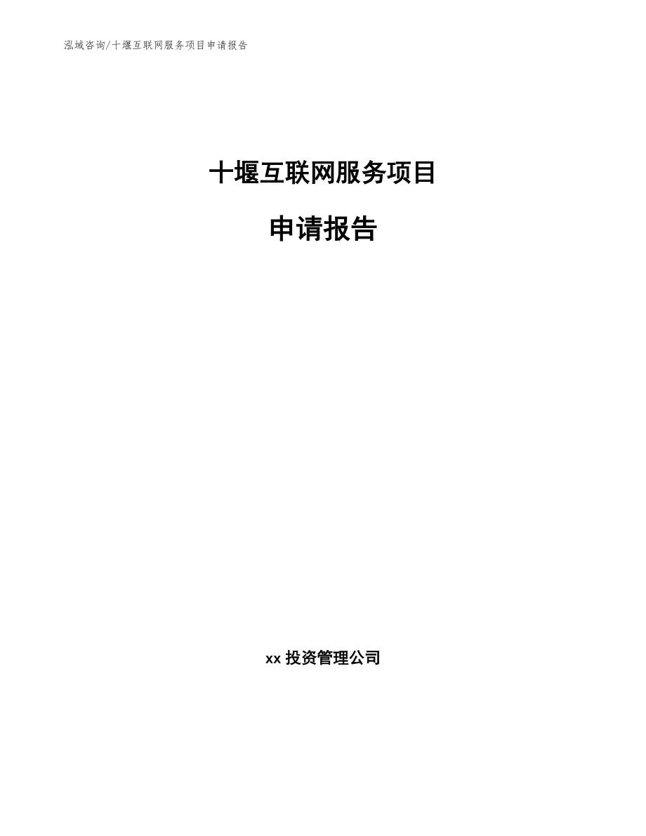 十堰互联网服务项目申请报告_范文_第1页