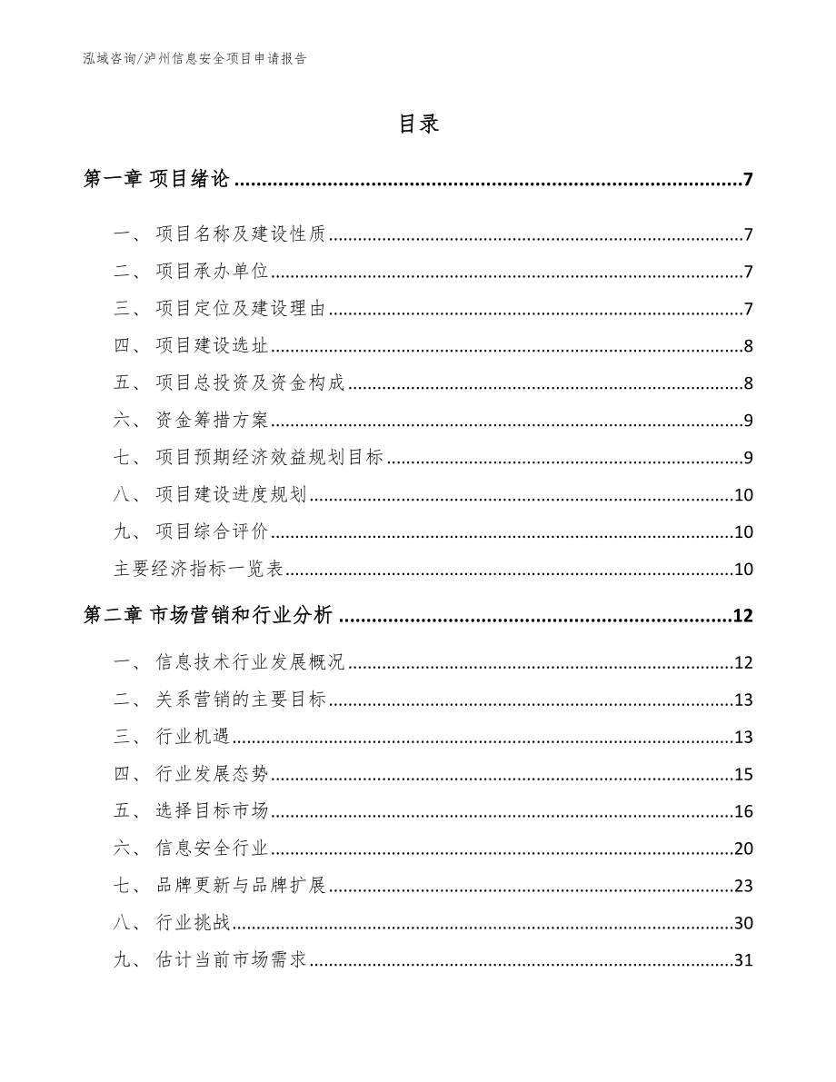 泸州信息安全项目申请报告_第1页