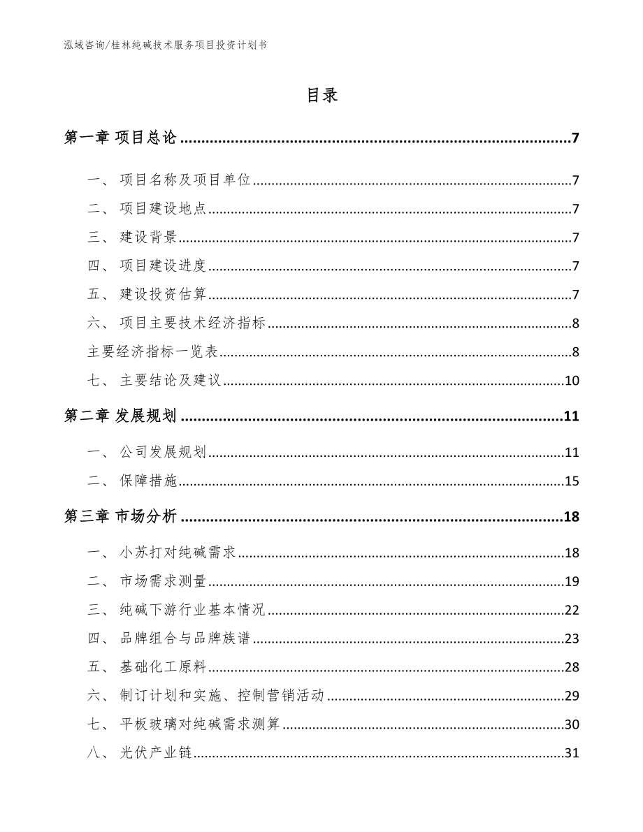 桂林纯碱技术服务项目投资计划书_第1页