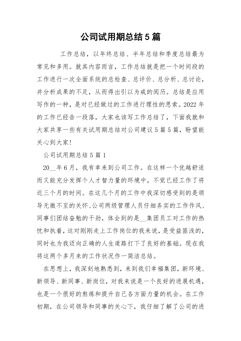 公司试用期总结5篇_第1页