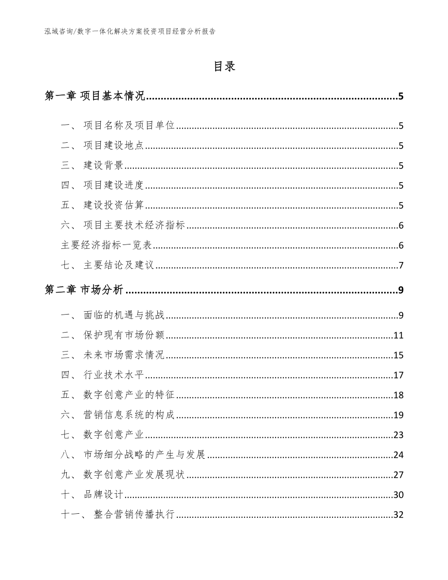 数字一体化解决方案投资项目经营分析报告_第1页