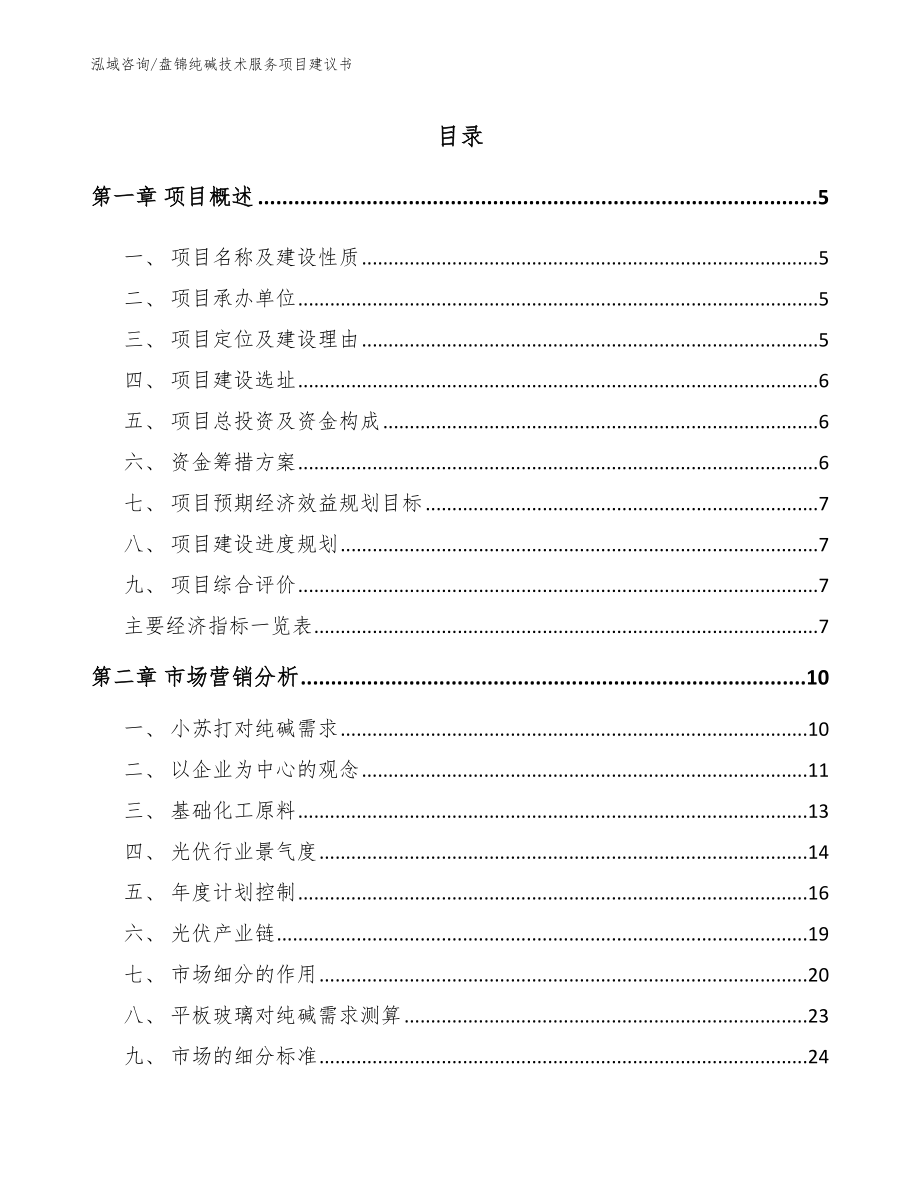盘锦纯碱技术服务项目建议书_第1页