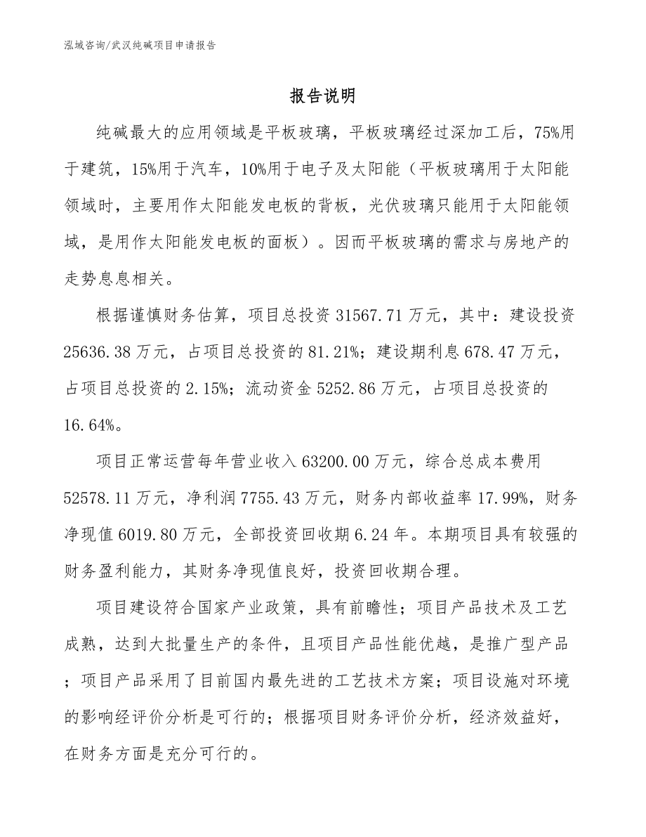 武汉纯碱项目申请报告_范文参考_第1页