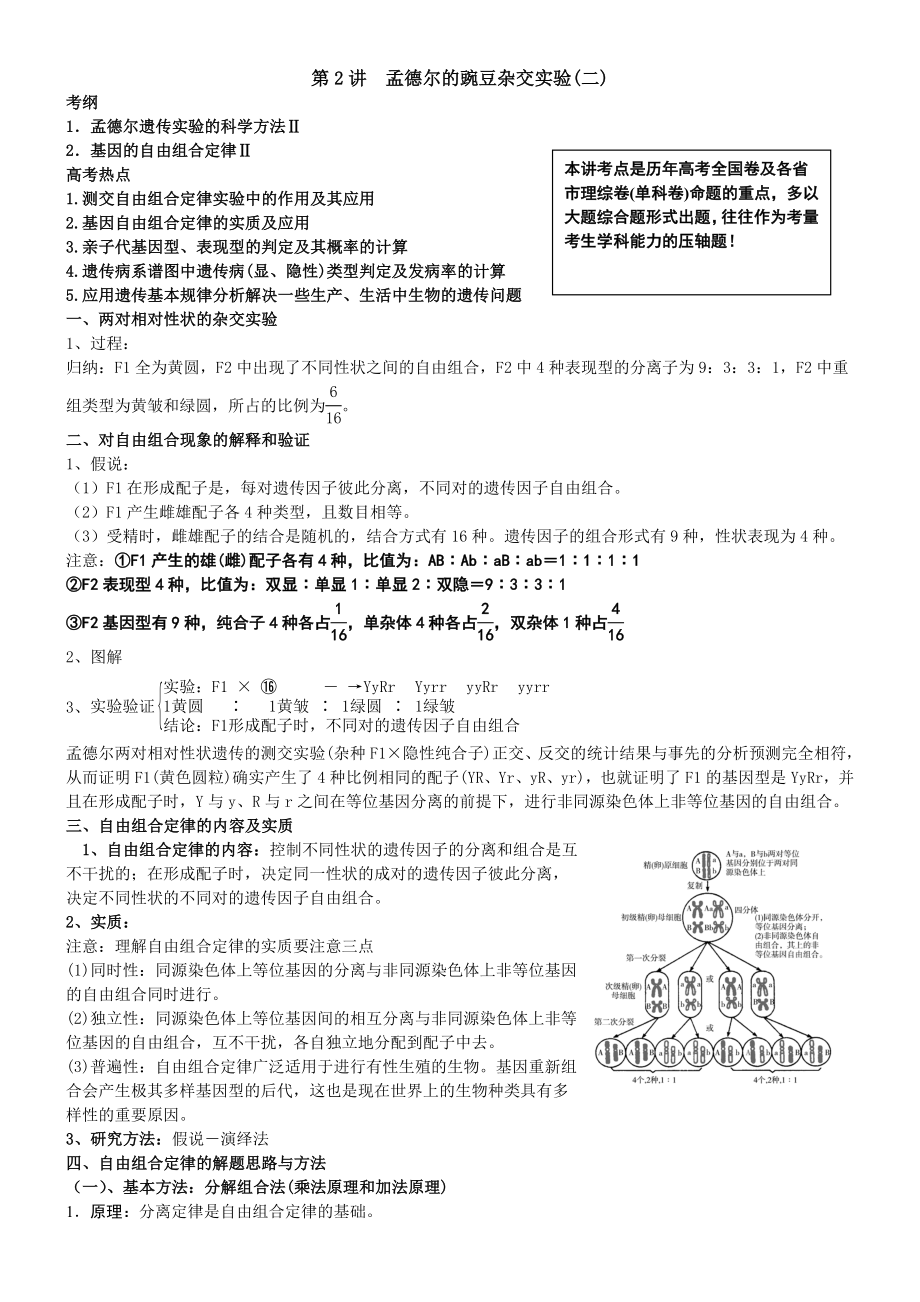 第2讲孟德尔的豌豆杂交实验 修改_第1页