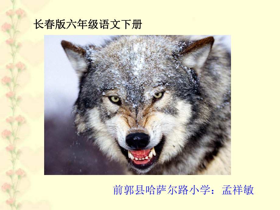 不留余地的狼正版PPT_第1页