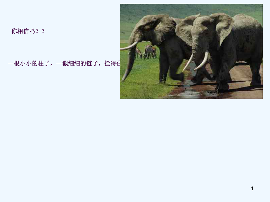 小学四年级学习习惯主题班会ppt课件_第1页