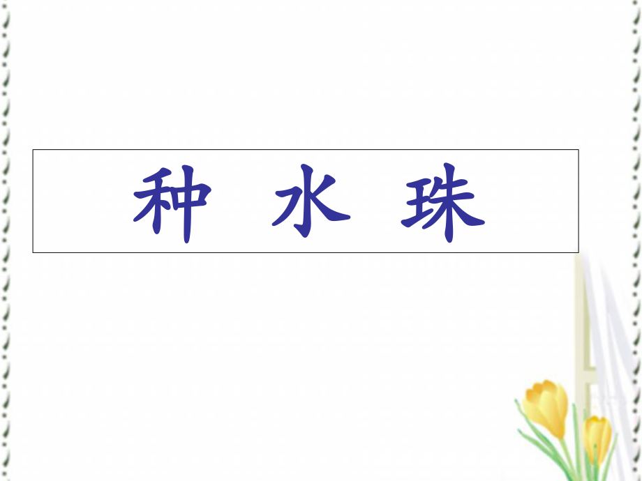 《种水珠》课件一年级语文_第1页