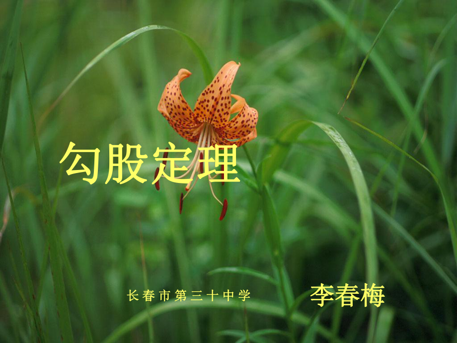 勾股定理4课件_第1页