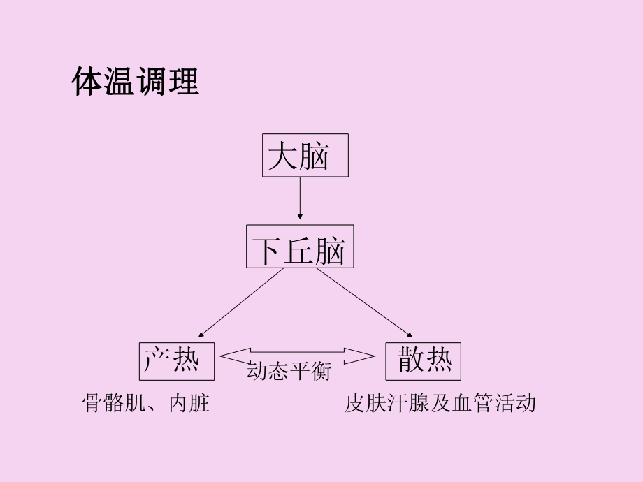 骨骼肌内脏PPT课件_第1页
