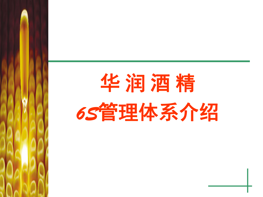 华润集团6S管理体系案例PPT课件_第1页