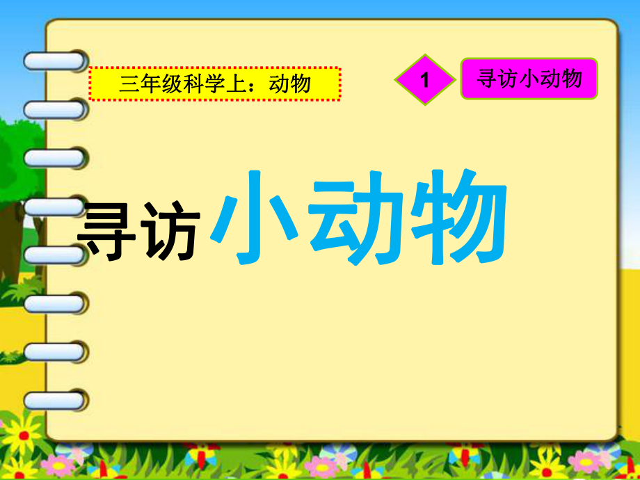 21寻访小动物(修改)_第1页