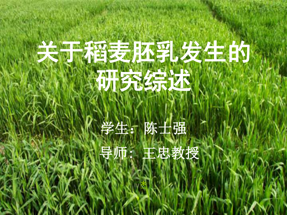 关于稻麦胚乳发生的研究综述学生：陈士强导师：王忠教授_第1页