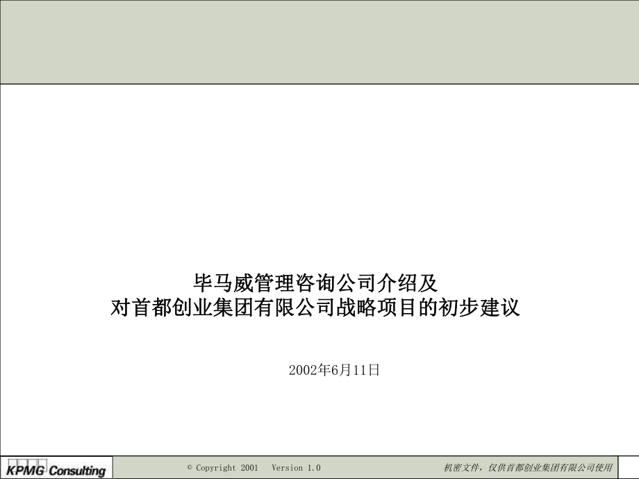 毕博首创集团战略项目建议书_第1页