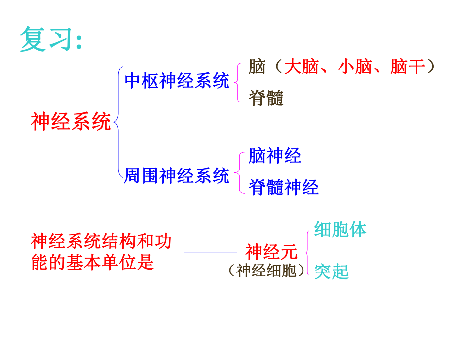 八年级生物神经调节的基本方式_第1页