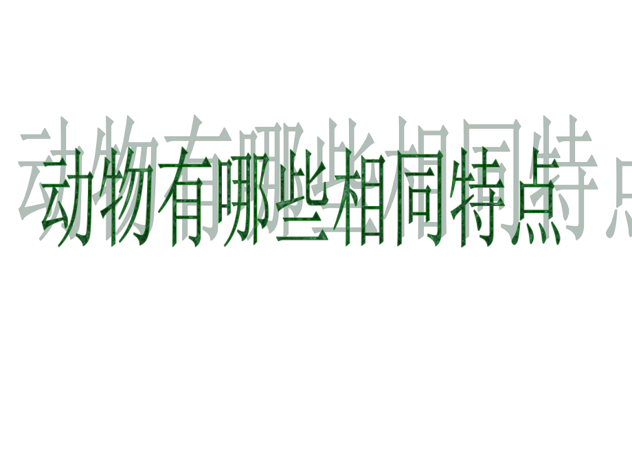 动物有哪些相同特点_第1页