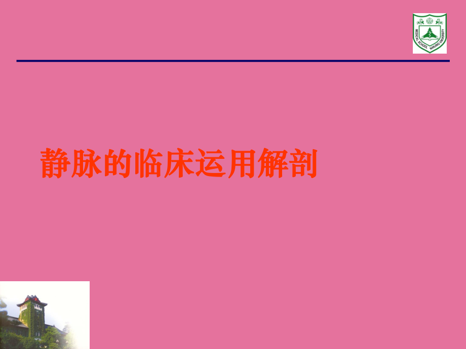 静脉临床应用解剖ppt课件_第1页