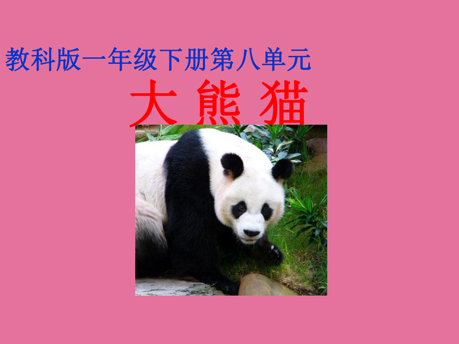 大熊猫ppt课件_第1页