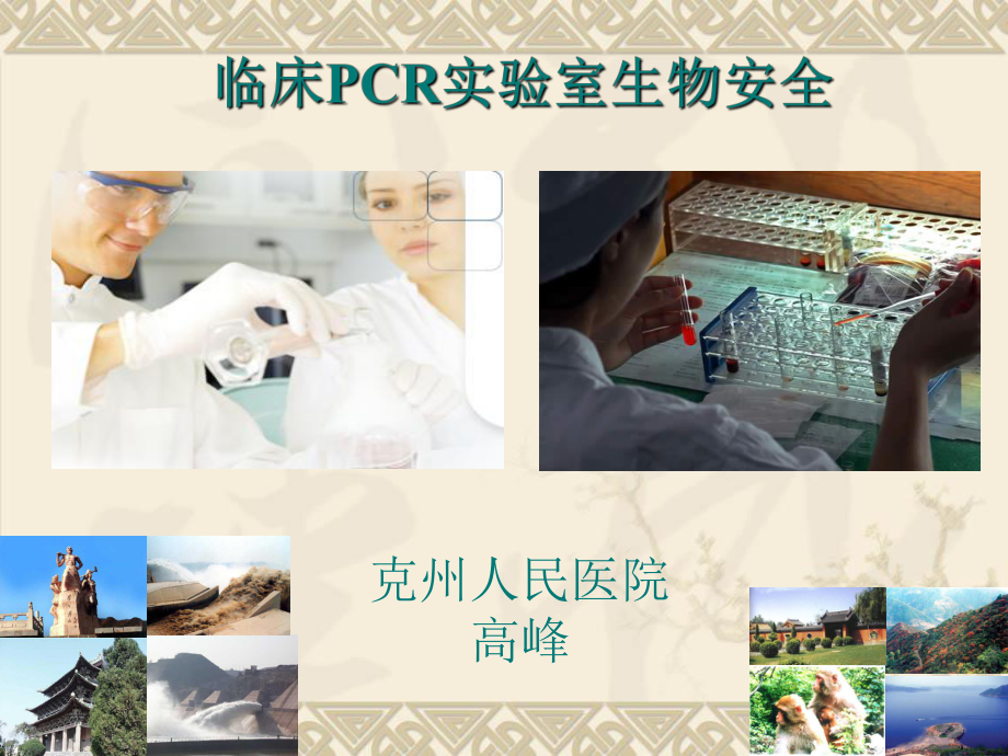 PCR的生物安全_第1页