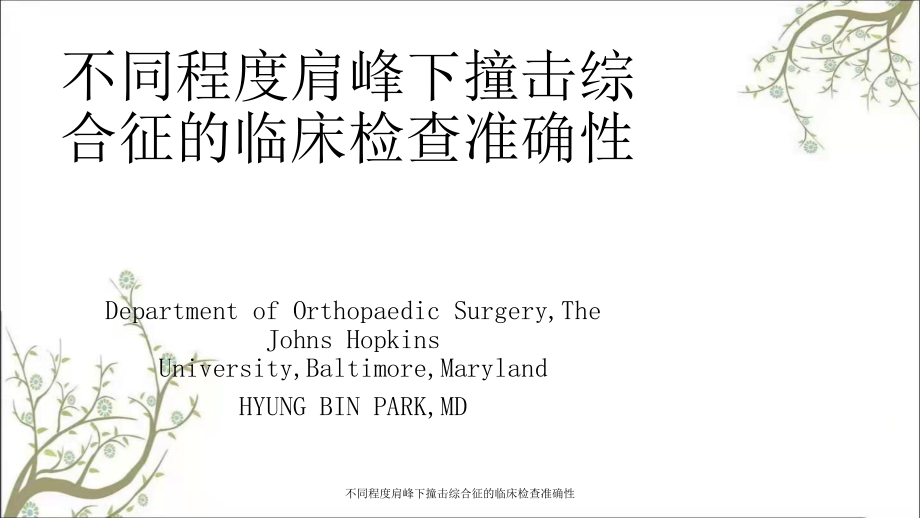 不同程度肩峰下撞击综合征的临床检查准确性课件_第1页