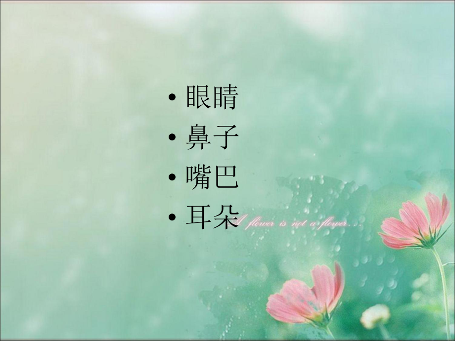 眼睛鼻子嘴巴耳朵的画法_第1页