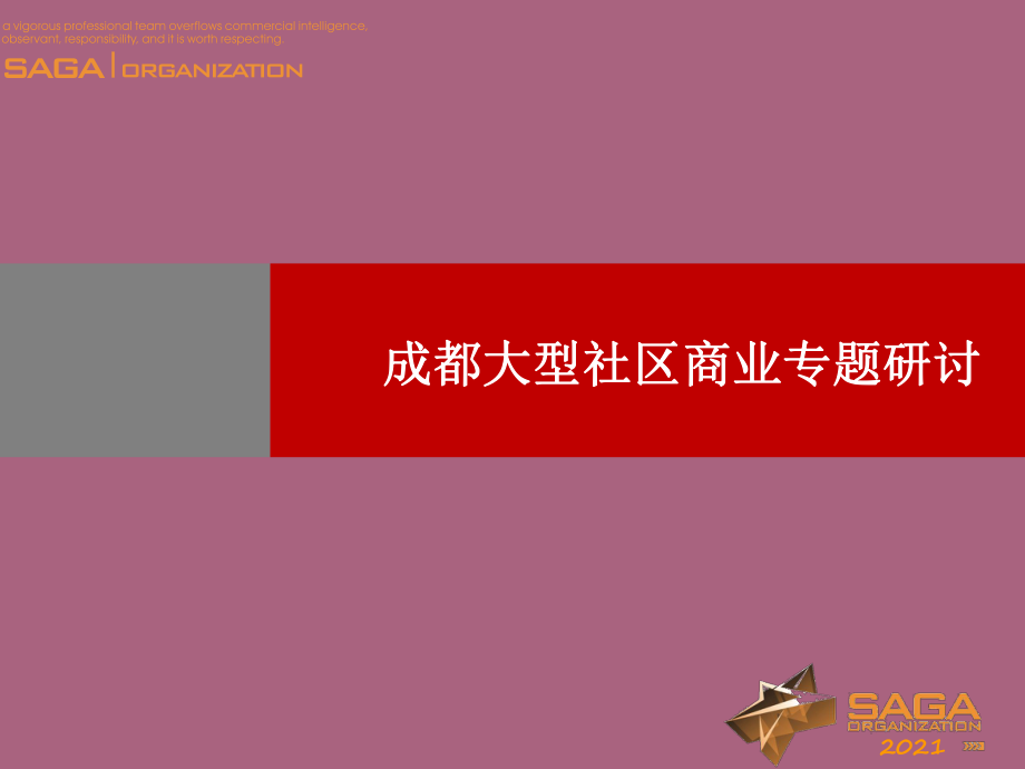 成都大型社区商业专题研究ppt课件_第1页