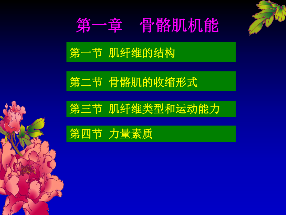 健身训练生理骨骼肌_第1页