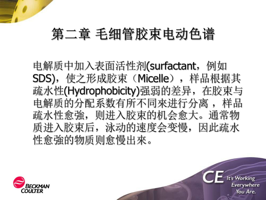 毛细管电泳原理_第1页