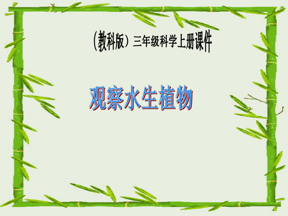 教科版科学三上观察水生植物PT课件3_第1页