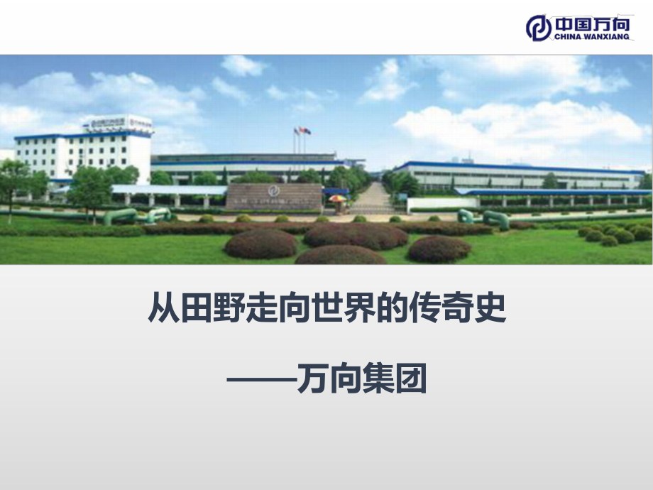 浙江万向集团案例市场营销案例国际市场营销案例_第1页