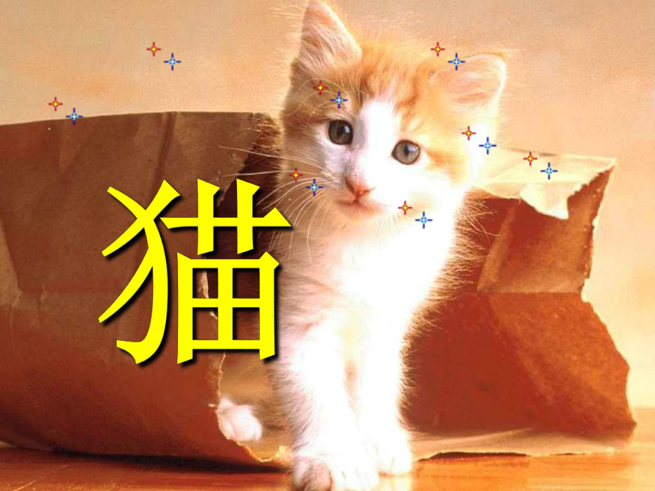 老舍《猫》课件（26页）_第1页