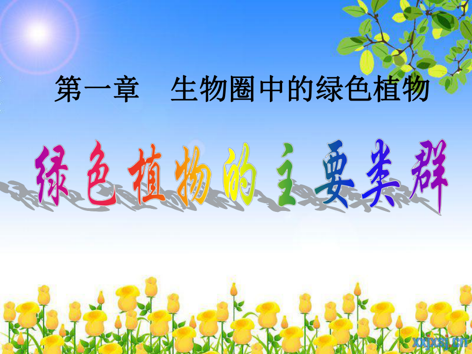 211绿色植物的主要类群_第1页