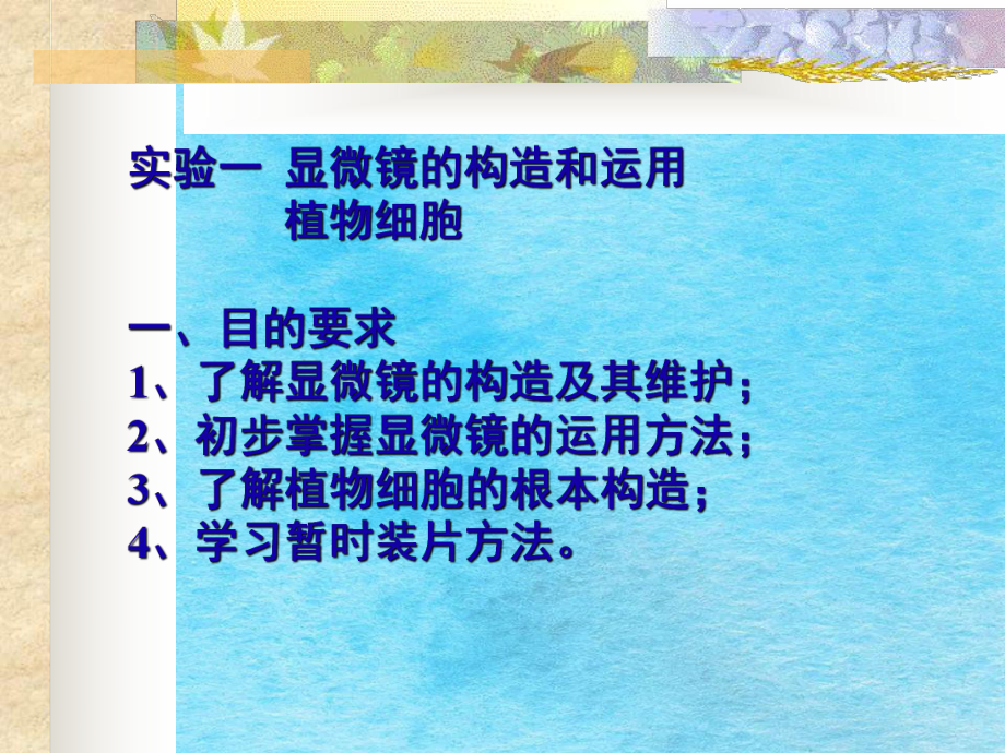 显微镜的构造和使用植物细胞ppt课件_第1页