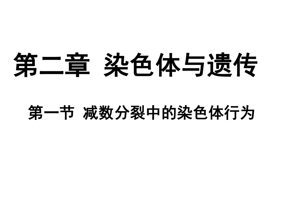 染色体与遗传_第1页