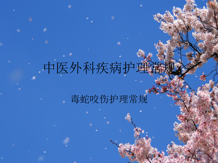 中医外科疾病护理常规之毒蛇咬伤护理常规_第1页