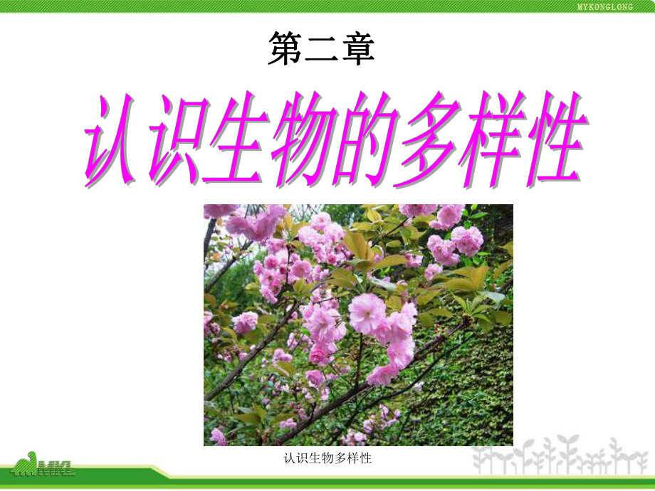 认识生物多样性课件_第1页