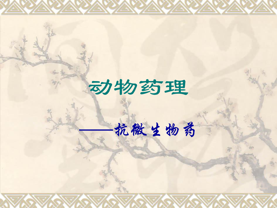 5磺胺药与抗菌增效剂_第1页