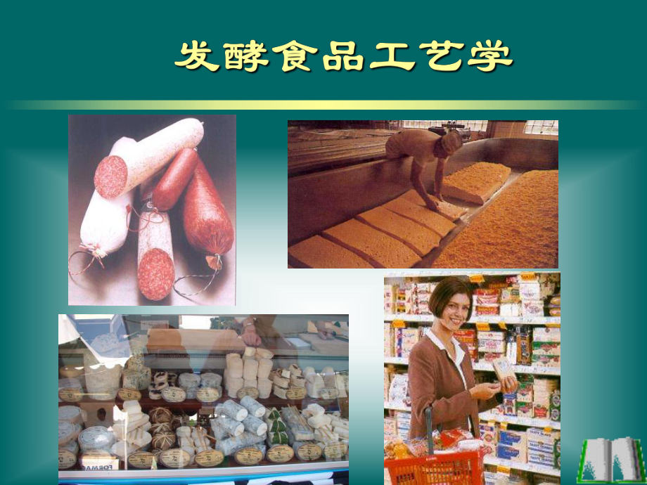 第一章发酵食品工艺学绪论_第1页