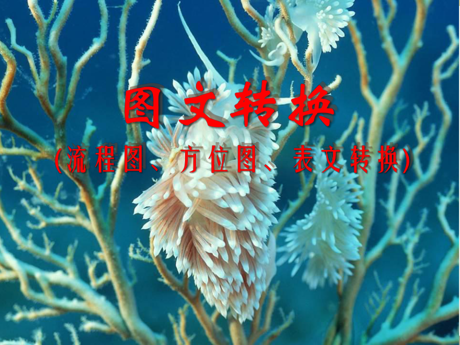 高三语文图文转换专题之流程图含练习课件共41张PPT_第1页