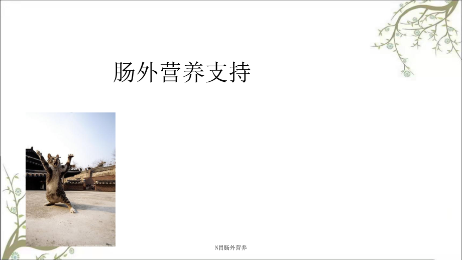 N胃肠外营养课件_第1页